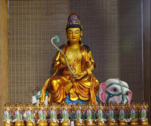 《华严经》原文卷五十一至卷五十五