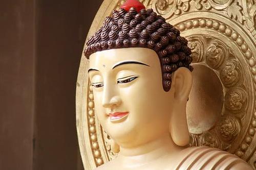 《华严经》原文卷二十一至卷二十五