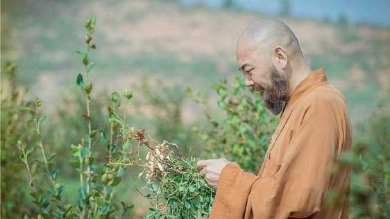 法藏比丘如何赞叹世自在王佛的功德